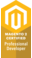 M2 Certified Professional Developer